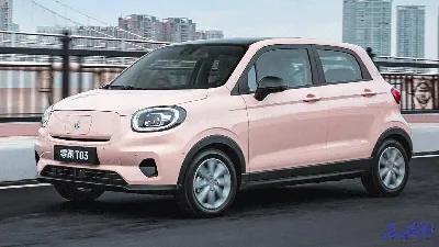 بخشنامه فروش خودرو کوچک برقی T03 - تیر 1404