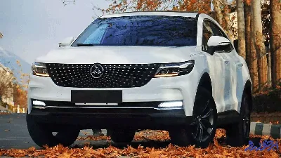 شرایط فروش فوری دیگنیتی پرایم اعلام شد _ آبان ۱۴۰۴